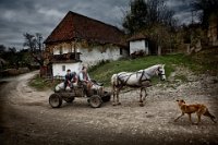 758 - TRAFFIC JAM - PAPP ELEK - hungary